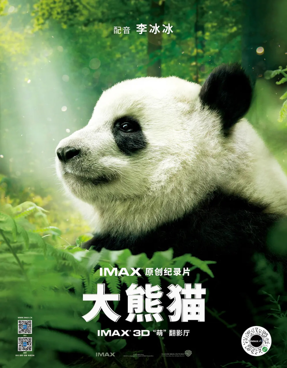 大熊猫_人物分析型介绍_德辉菲林-剧透网